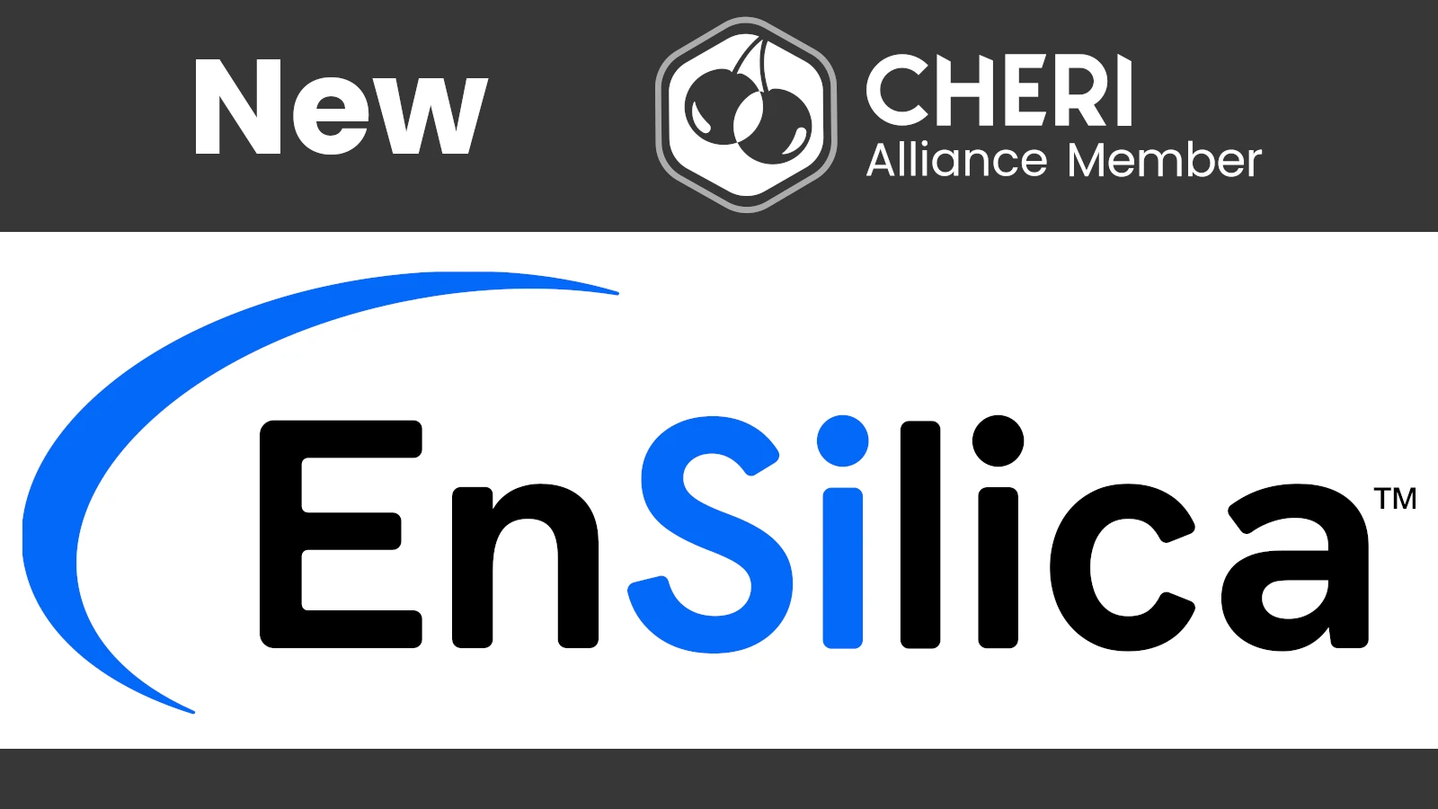 Welcome EnSilica